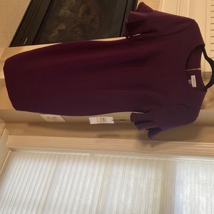 NWT Calvin Klein Plum ruffle sleeve dress